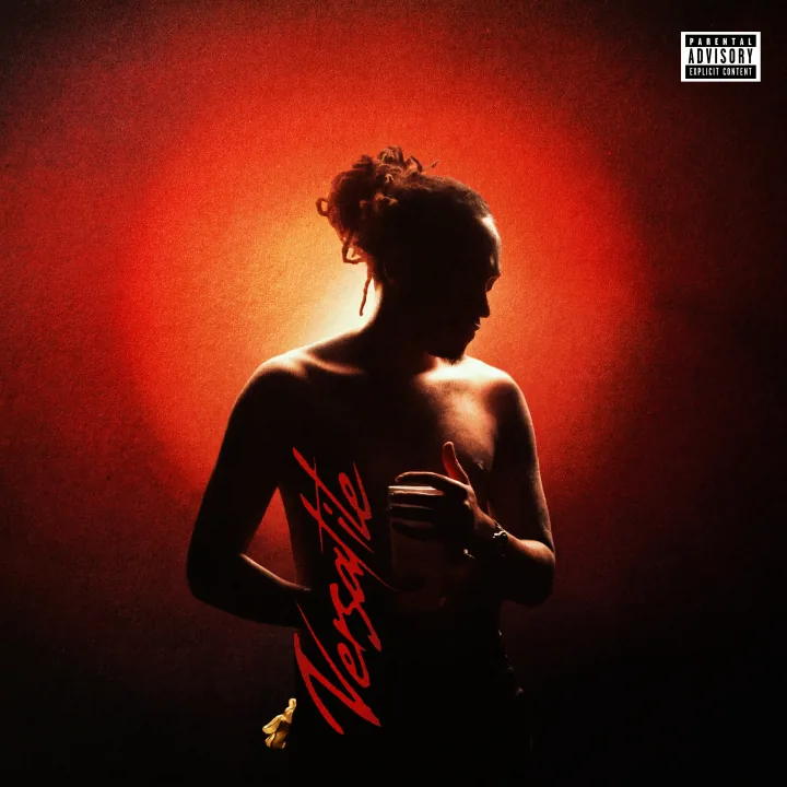 Versatile cover artwork